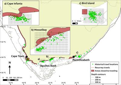 Long-Term Change of Demersal Fish Assemblages on the Inshore Agulhas Bank Between 1904 and 2015